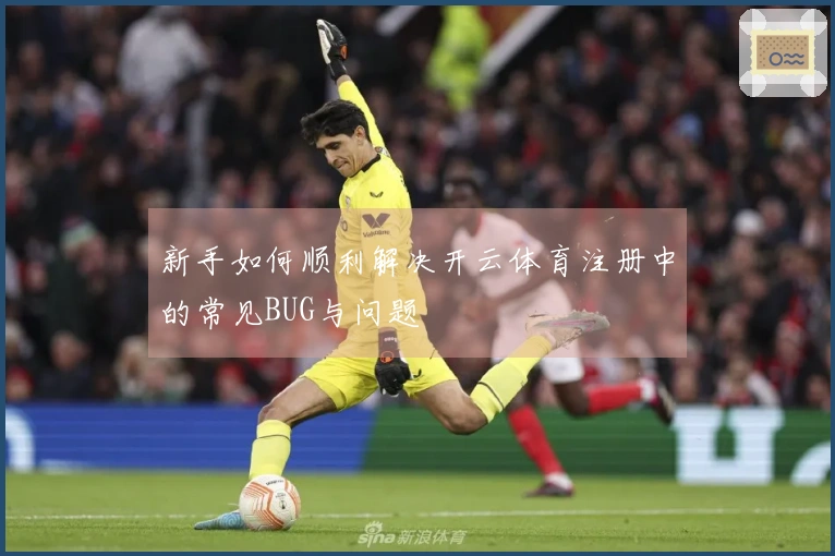 新手如何顺利解决开云体育注册中的常见BUG与问题